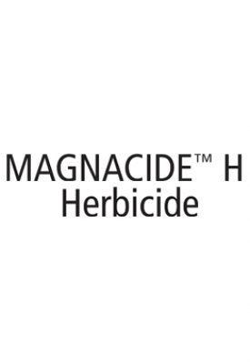 magnacide_h magnacide_h