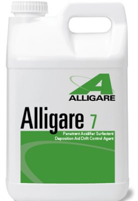 alligare_7