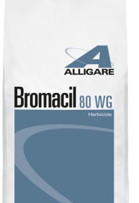 alligare_bromacil80wp alligare_bromacil80wp