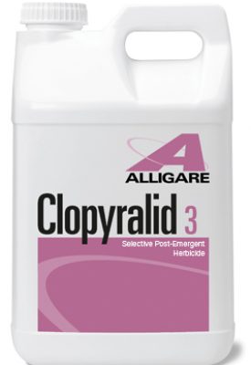 alligare_clopyralid1 alligare_clopyralid1