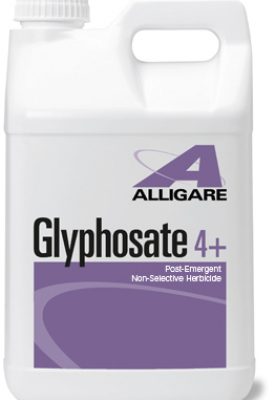 Glyphosate 4 Plus jug