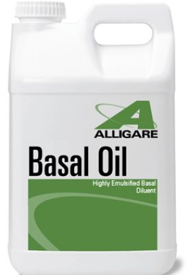 basal_oil