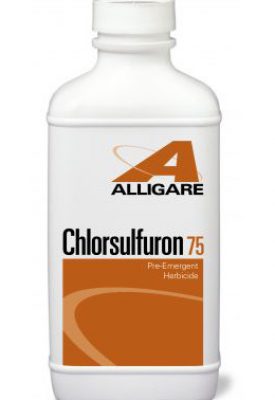chlorsulfuron