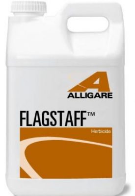 Flagstaff image