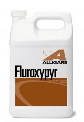 fluroxypry fluroxypry