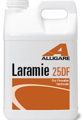 Laramie 25DF jug