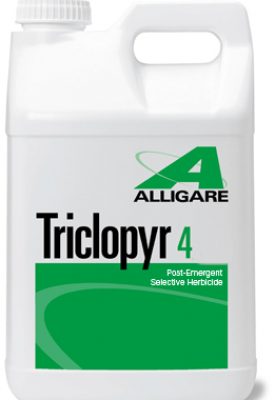 Triclopyr 4 product image