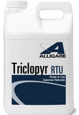 triclopyr_rtu