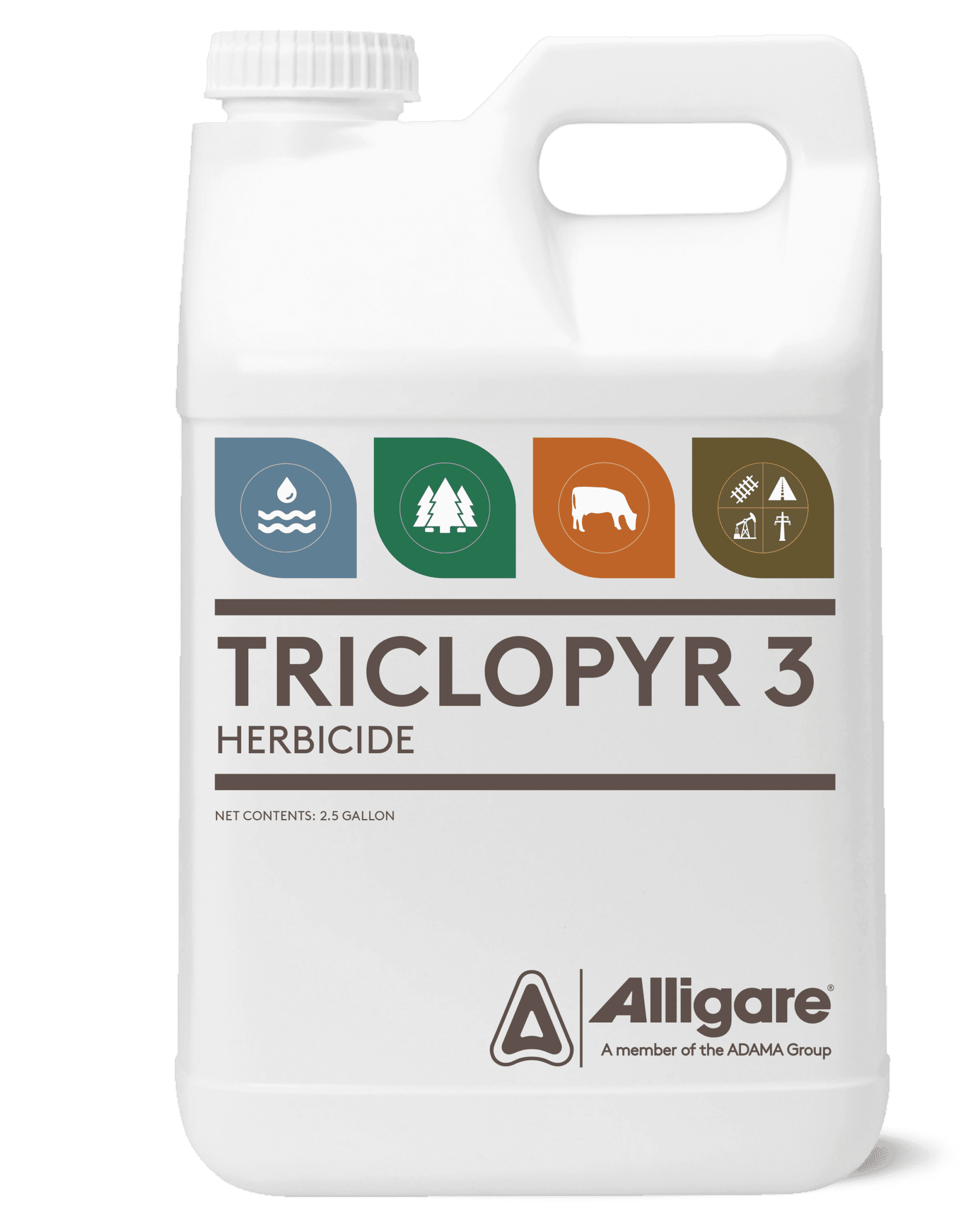 TRICLOPYR 3