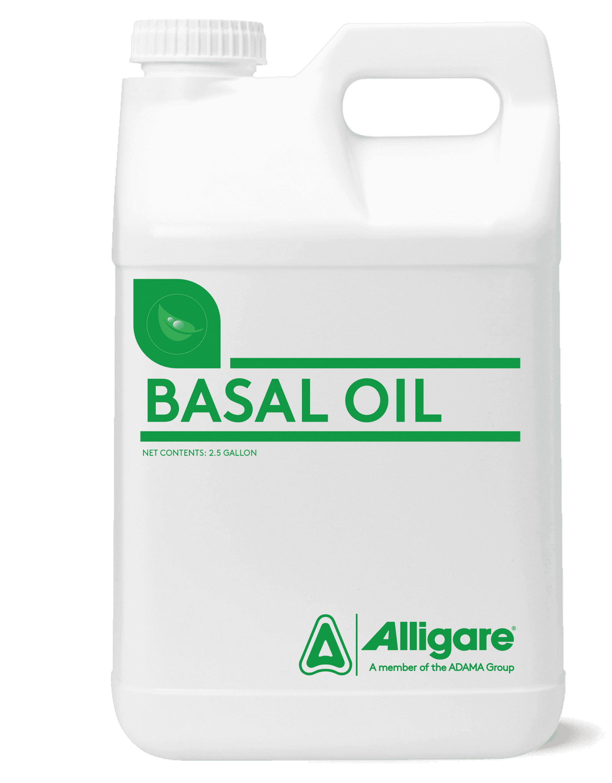 BASAL OIL