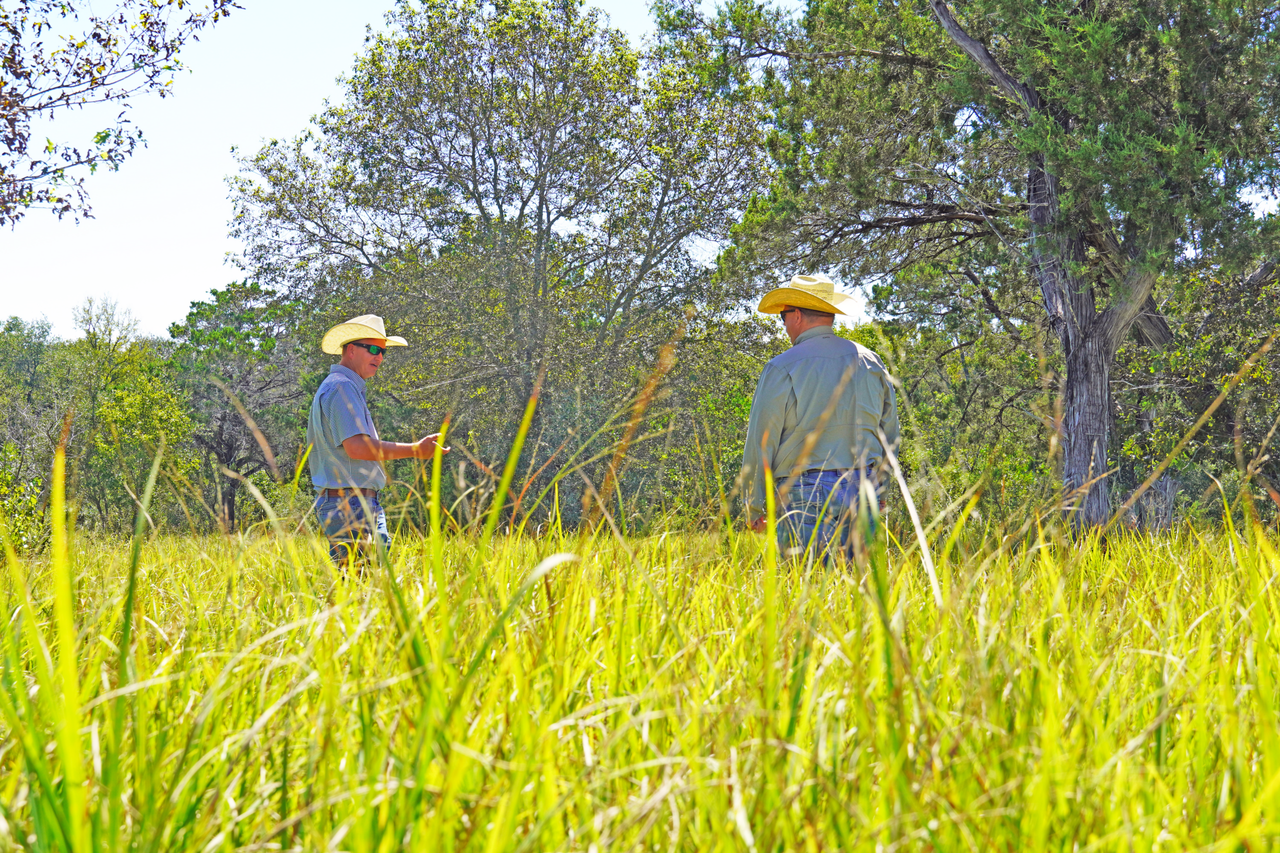 A Legacy of Stewardship, A Partnership for Progress